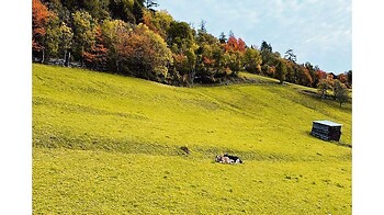 Goldener Herbst - Durchatmen in den Bergen 15% 