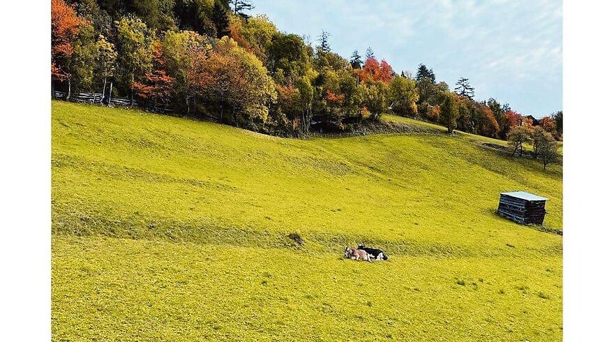 Golden Autumn – Breathe Deeply in the Mountains | 15% Off